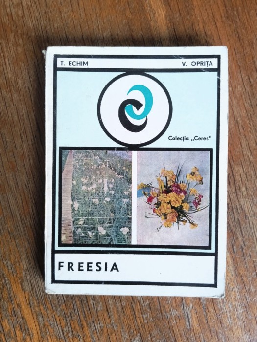 Freesia - T. Echim / R3P5S