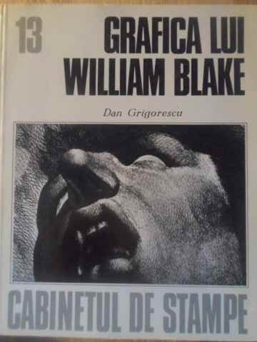 GRAFICA LUI WILLIAM BLAKE-DAN GRIGORESCU-276027