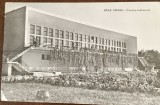 Carte postala Baile Amara