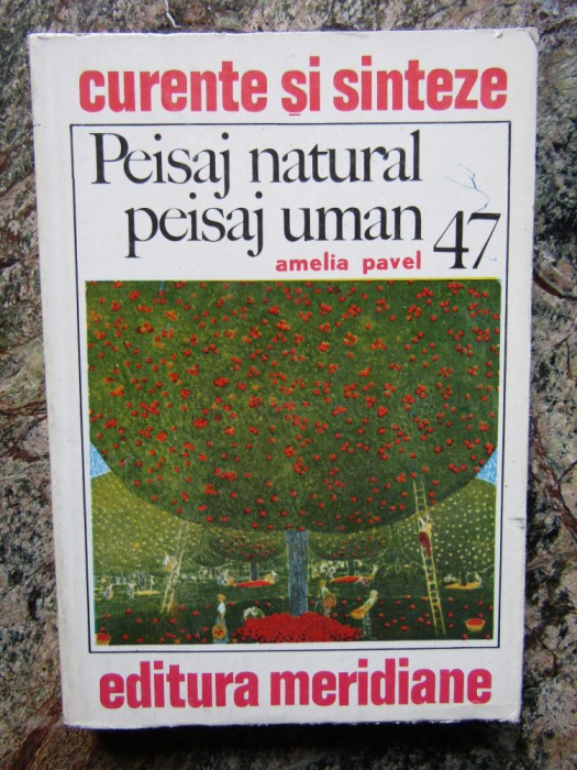 PEISAJ NATURAL PEISAJ UMAN- AMELIA PAVEL- BUC.1987