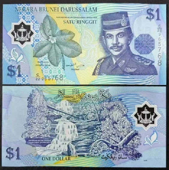 Brunei 1996 - 1 ringgit UNC