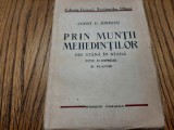 CONST. D. IONESCU (autograf) - Prin Muntii MEHEDINTILOR -1938, 90 p.+21 pl.