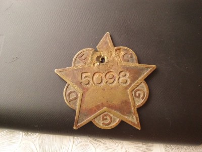 Insigna 5098 F.C.G.G.D. foto