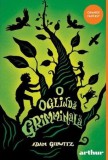 O oglinda grimminala - Adam Gidwitz - Grupul Art