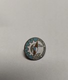 AMS - INSIGNA RO - INOVATOR RSR - EMAIL LA CALD , DIAMETRU 1.8 CM