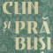 Evelyn Waugh - Declin si prabusire