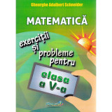 Matematica - clasa 5 - exercitii si probleme - gheorghe adalbert schneider, HYPERION