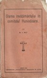 C9500N Starea &icirc;nvățăm&acirc;ntului &icirc;n comitatul Huniedoarei de A Micu, 1913, Arad