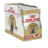 ROYAL CANIN British Shorthair Pliculeț - 12 x 85g