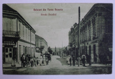 SALUTARI DIN TURNU SEVERIN , STRADA DECEBAL - CARTE POSTALA ILUSTRATA , MONOCROMA, CIRCULATA , INCEPUT DE SECOL XX foto