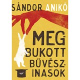 Megbukott bűv&eacute;szinasok - S&aacute;ndor Anik&oacute;, S&aacute;ndor Anik&oacute;