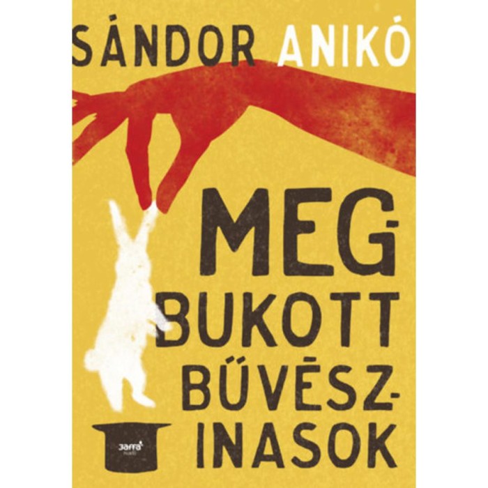 Megbukott bűv&eacute;szinasok - S&aacute;ndor Anik&oacute;
