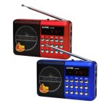 Radio FM portabil YG011, USB/TF/AUX, acumulator, diverse culori