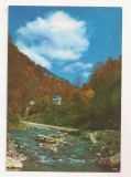 RF53 -Carte Postala- Cormaia, cabana Farmecul Padurii, necirculata 1977