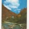 RF53 -Carte Postala- Cormaia, cabana Farmecul Padurii, necirculata 1977