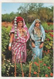 Bnk cp Libia - costume nationale - necirculata, Printata