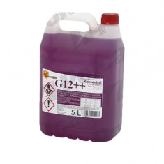 Antigel concentrat RapidAuto 99KPCH5G12++A, 5l; violet