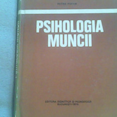 Psihologia muncii-Prof.Univ.Dr.Petre Pufan