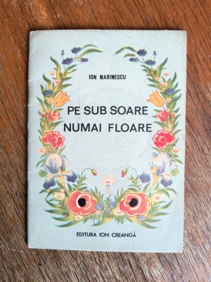 Pe sub Soare numai floare - PIon Marinescu / R8P5F foto