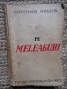 Pe făgașul vieții - Constanța Niculiță - Pe meleaguri