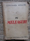 Pe făgașul vieții - Constanța Niculiță - Pe meleaguri