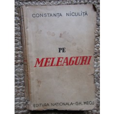Pe făgașul vieții - Constanța Niculiță - Pe meleaguri