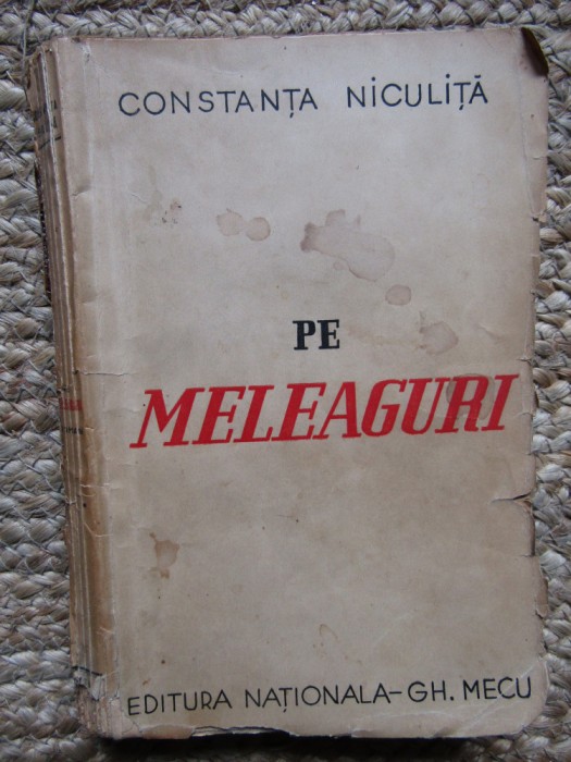 Pe făgașul vieții - Constanța Niculiță - Pe meleaguri