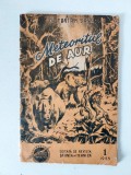 Meteoritul de aur, Octavian Sava, Revista Stiinta &amp; Tehnica, Nr 1 / 1955