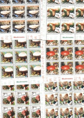 ROMANIA 2008 - CIUPERCI - MINICOLI - LP 1792a foto