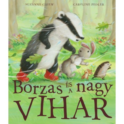 Borzas &amp;eacute;s a nagy vihar - Suzanne Chiew foto