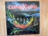 Conexiuni Tot Ce-as Vrea Sa-ti Spun Vinil 1993 Eurostar NM Disc LP Hard Rock + Insert