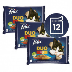 FELIX Fantastic DUO pliculețe, selecție delicioasă în gelatină 4 x 85 g