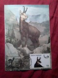Maxima Romania - Fauna - Diorama- Viata in Carpati- Capra Neagra - Expozitia Filatelica Busteni 1983 / Animale ocrotite