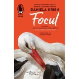 Focul - Daniela Krien