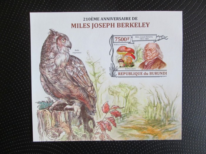 BURUNDI PASARI MNH=70