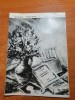 Program Opera Romana 1980: Preludiu la Dupa Amiaza unui Faun - Bucuresti (Teatru)