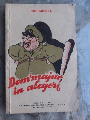 DOM&amp;#039;MAJUR IN ALEGERI - ION GRECEA foto