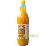 Sirop de Ghimbir Natural 1L
