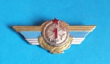 Insigna AVIATIE militara Internationala - Aviator - Pilot - Kazahstan