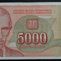 Bancnota 5000 DINARI / DINARA - YUGOSLAVIA, anul 1993 * cod 257