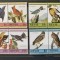 PC449 - Nevis 1985 Fauna/ Pasari Audubon 2, serie MNH, 8v