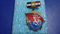 insigna Brigadier al Muncii patriotice 1959 foto