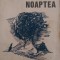 Noaptea Mircea Radu Iacoban 1986
