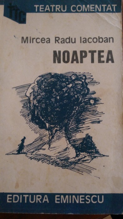 Noaptea Mircea Radu Iacoban 1986