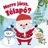Merre j&aacute;rsz, T&eacute;lap&oacute;?