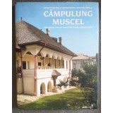 Bruno Andreșoiu... - C&acirc;mpulung Muscel: schițe pentru o monografie arhitecturală