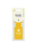 Odorizant auto tip bradut, Soul, DeoMaxx, aroma Blessed