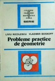 Liviu Nicolescu - Probleme practice de geometrie