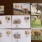 argentina - serie 4 timbre MNH, 4 FDC, 4 maxime, fauna wwf