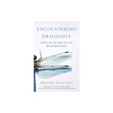 Encountering Dragonfly: Notes on the Practice of Re-Enchantment